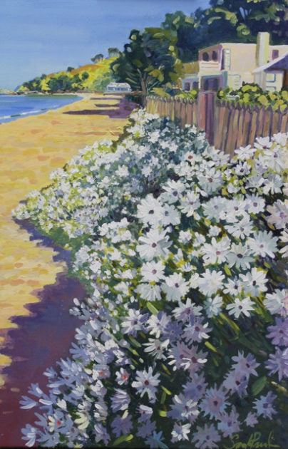 White Gazanias, Cheltenham Beach